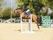Equestrian Jobseeker Profile Photo