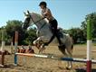 Equestrian Jobseeker Profile Photo