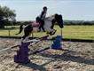 Equestrian Jobseeker Profile Photo