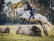 Equestrian Jobseeker Profile Photo