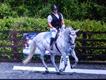Equestrian Jobseeker Profile Photo