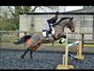 Equestrian Jobseeker Profile Photo