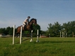 Equestrian Jobseeker Profile Photo