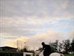 Equestrian Jobseeker Profile Photo