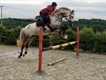 Equestrian Jobseeker Profile Photo