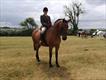 Equestrian Jobseeker Profile Photo