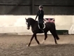Equestrian Jobseeker Profile Photo