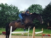 Equestrian Jobseeker Profile Photo