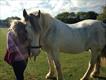 Equestrian Jobseeker Profile Photo