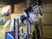 Equestrian Jobseeker Profile Photo