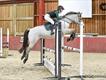 Equestrian Jobseeker Profile Photo