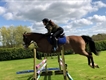 Equestrian Jobseeker Profile Photo