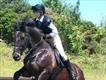 Equestrian Jobseeker Profile Photo