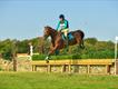 Equestrian Jobseeker Profile Photo