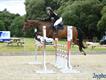 Equestrian Jobseeker Profile Photo