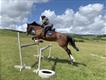 Equestrian Jobseeker Profile Photo