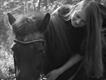 Equestrian Jobseeker Profile Photo