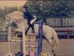 Equestrian Jobseeker Profile Photo