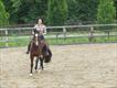 Equestrian Jobseeker Profile Photo