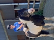 Equestrian Jobseeker Profile Photo