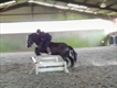 Equestrian Jobseeker Profile Photo