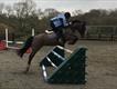 Equestrian Jobseeker Profile Photo