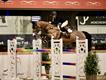 Equestrian Employer Profile Photo