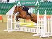 Equestrian Jobseeker Profile Photo