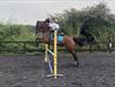 Equestrian Jobseeker Profile Photo
