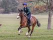Equestrian Jobseeker Profile Photo