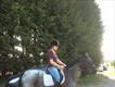 Equestrian Jobseeker Profile Photo