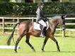 Equestrian Jobseeker Profile Photo