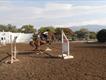 Equestrian Jobseeker Profile Photo