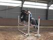 Equestrian Jobseeker Profile Photo