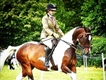 Equestrian Jobseeker Profile Photo