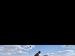 Equestrian Jobseeker Profile Photo