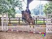 Equestrian Jobseeker Profile Photo