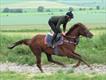 Equestrian Jobseeker Profile Photo