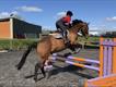 Equestrian Jobseeker Profile Photo