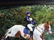 Equestrian Jobseeker Profile Photo
