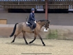 Equestrian Jobseeker Profile Photo
