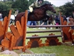 Equestrian Jobseeker Profile Photo