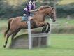 Equestrian Jobseeker Profile Photo