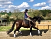 Equestrian Jobseeker Profile Photo