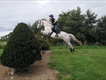 Equestrian Jobseeker Profile Photo