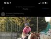 Equestrian Jobseeker Profile Photo