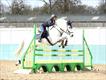 Equestrian Jobseeker Profile Photo