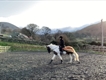 Equestrian Jobseeker Profile Photo