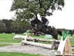 Equestrian Jobseeker Profile Photo