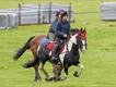 Equestrian Jobseeker Profile Photo